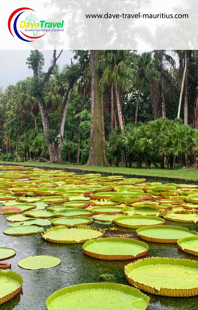 Botanischer Garten